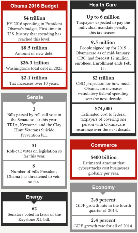 Policy by the Numbers